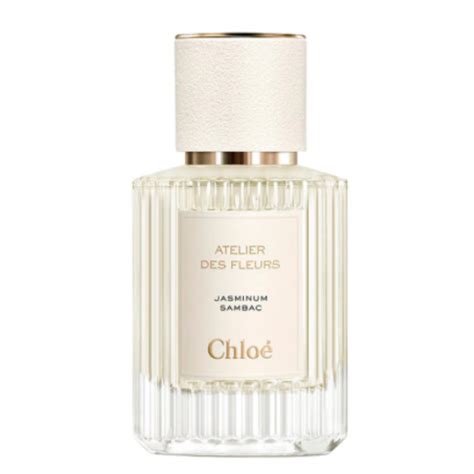 jasminum sambac chloe|jasmine sambac perfume.